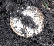 SLQ dirt.jpg
