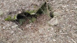 20160319_141659.jpg