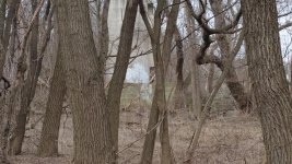 20160319_141735.jpg