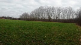 Field Panorama.jpg Field Panorama.jpg