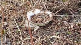 20160401_112358.jpg