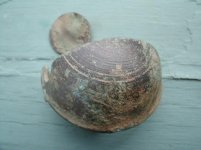 1796 Liberty Cap 004.jpg