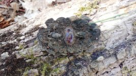 Brooch Dug.jpg