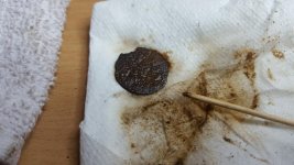 20160424_182601.jpg
