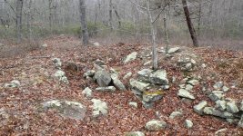 DSCF0211.jpg