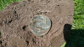 20160425_115155.jpg