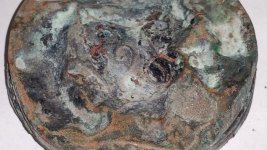 20160427_194204.jpg