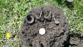 20160505_135422.jpg