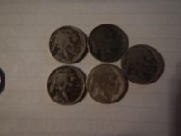 DSCN6538.JPG