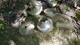 20160525_095015.jpg