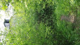 20160525_102611.jpg