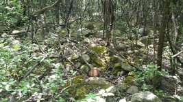 20160525_094823.jpg