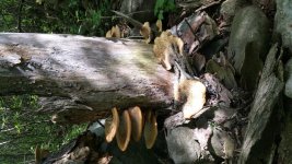 20160525_094446.jpg