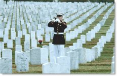 arlington-cemetary.jpg