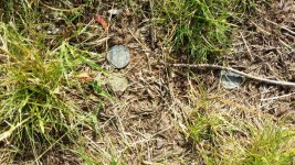School coin spill.jpg