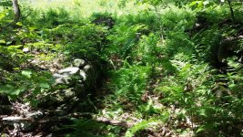 Stone Path.jpg