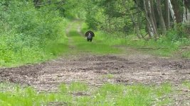 20160531_115013.jpg