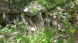 20160531_103158.jpg