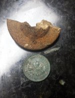 Possible Rosette.jpg