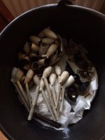 IMG-20160612-WA0056.jpg