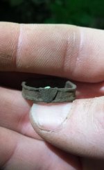 Ring shield dug.jpg Ring shield dug.jpg