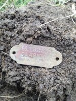 Dog Tag.jpg