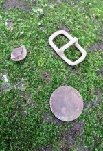 Mossy Finds.jpg