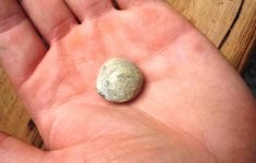 Musket round side.jpg