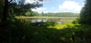 Pond Machine Panorama.jpg