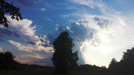 View Fri 7-22.jpg