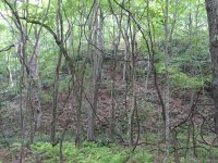 IMG_7115.jpg