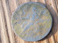 20160808_075855.jpg