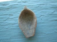 GEDC0968.jpg