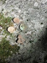 Finds 8-28 Hills Est.jpg