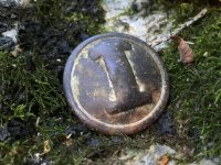 Confederate Cast Infantry Button 9-24-16 -1.jpg
