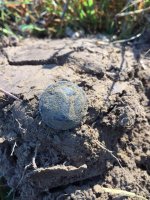 Confederate Cast Infantry Button 9-24-16 -2.jpg