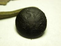 DSCN1225.jpg