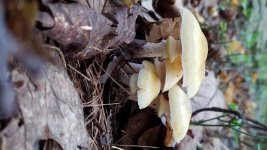 20161008_085202.jpg