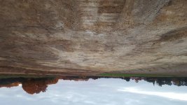 IMG-20161010-WA0017.jpg