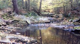 Brook bend.jpg