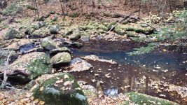 Brook Stagnant.jpg