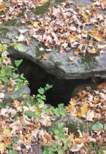 Covered well.jpg