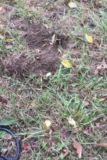 Dug Hole.jpg
