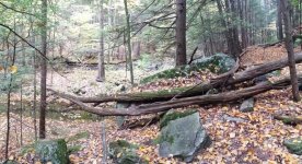 Trail Panorama.jpg