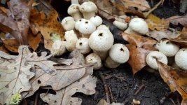 20161017_085041.jpg