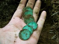 6 green coppers.JPG
