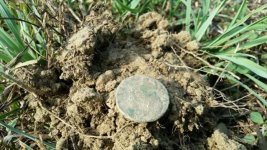 Oct copper situ.jpg