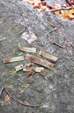 Harmonica Reeds Well cap.jpg