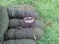 750 ring.JPG