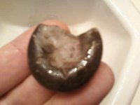 1106162050.jpg